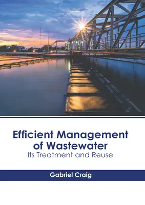 Efektywne zarządzanie ściekami: Oczyszczanie i ponowne wykorzystanie - Efficient Management of Wastewater: Its Treatment and Reuse