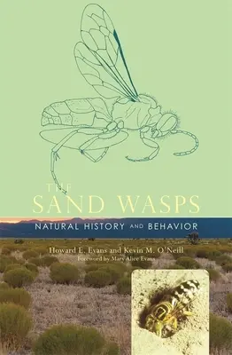 Osy piaskowe: Historia naturalna i zachowanie - Sand Wasps: Natural History and Behavior