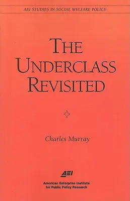 The Underclass Revisited