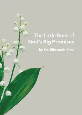 Mała księga wielkich Bożych obietnic - The Little Book of God's Big Promises