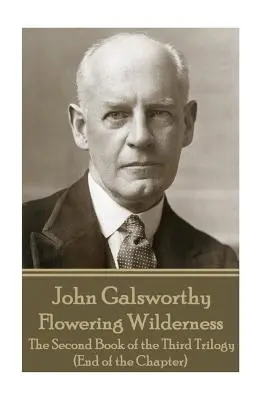 John Galsworthy - Kwitnąca dzicz: Druga księga trzeciej trylogii (Koniec rozdziału) - John Galsworthy - Flowering Wilderness: The Second Book of the Third Trilogy (End of the Chapter)