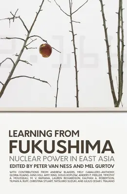 Nauka płynąca z Fukushimy: Energia jądrowa w Azji Wschodniej - Learning from Fukushima: Nuclear power in East Asia