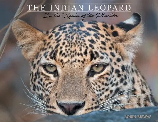 Indyjski lampart: w królestwie fantomu - The Indian Leopard: In the Realm of the Phantom