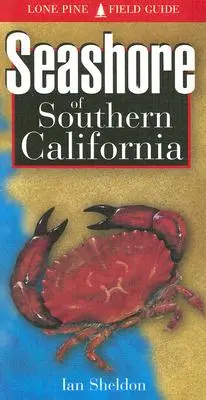 Wybrzeże morskie południowej Kalifornii - Seashore of Southern California