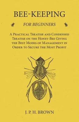 Bee-Keeping for Beginners - A Practical Treatise and Condensed Treatise on the Honey-Bee Giving the Best Modes of Management in Order to Secure the Mo