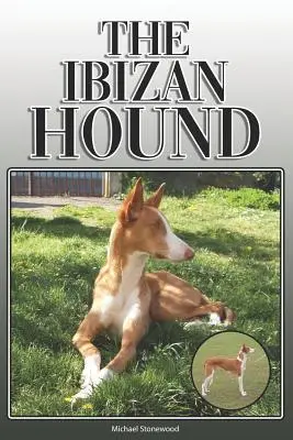 The Ibizan Hound: A Complete and Comprehensive Owners Guide To: Kupowanie, posiadanie, zdrowie, pielęgnacja, szkolenie, posłuszeństwo, zrozumienie i - The Ibizan Hound: A Complete and Comprehensive Owners Guide To: Buying, Owning, Health, Grooming, Training, Obedience, Understanding and