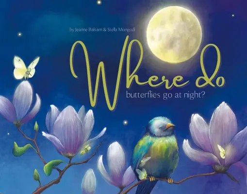 Gdzie w nocy latają motyle? - Where Do Butterflies Go at Night?