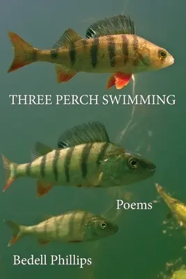 Pływanie z trzema okoniami - Three Perch Swimming