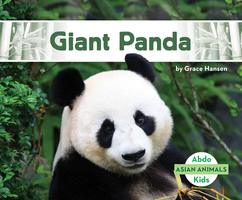 Panda olbrzymia - Giant Panda