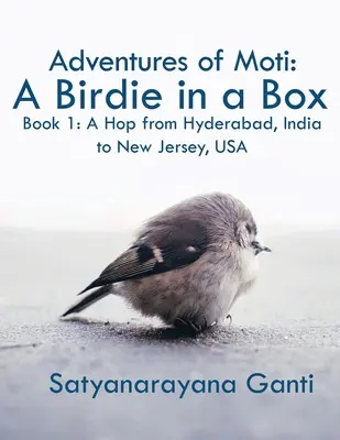 Przygody Moti: A Birdie in a Box: Księga 1: Podróż z Hajdarabadu w Indiach do New Jersey w USA - Adventures of Moti: A Birdie in a Box: Book 1: A Hop from Hyderabad, India to New Jersey, USA