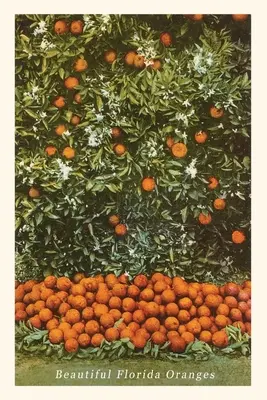 Vintage Journal Pomarańcze, Floryda - Vintage Journal Oranges, Florida