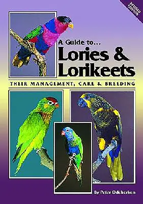 Przewodnik po lorach i lorikeetach: Zarządzanie, opieka i hodowla - A Guide to Lories & Lorikeets: Their Management, Care& Breeding