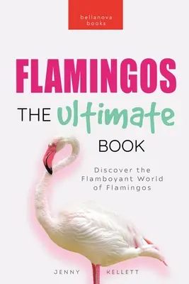 Flamingi: The Ultimate Book: Odkryj ekstrawagancki świat flamingów - Flamingos: The Ultimate Book: Discover the Flamboyant World of Flamingos
