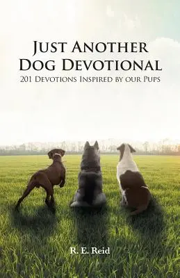 Just Another Dog Devotional: 201 nabożeństw inspirowanych naszymi pupilami - Just Another Dog Devotional: 201 Devotions Inspired by Our Pups