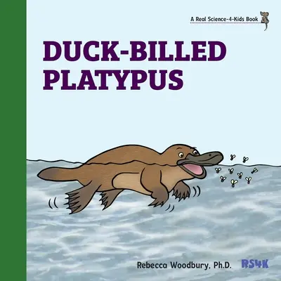 Dziobak z kaczym dziobem - Duck-billed Platypus