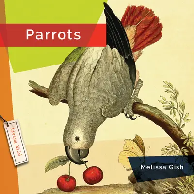 Papugi - Parrots