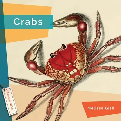 Kraby - Crabs