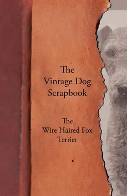 Album o psach w stylu vintage - foksterier szorstkowłosy - The Vintage Dog Scrapbook - The Wire Haired Fox Terrier