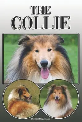 Collie: Kompletny i kompleksowy przewodnik dla właścicieli: Kupowanie, posiadanie, zdrowie, pielęgnacja, szkolenie, posłuszeństwo, zrozumienie i - The Collie: A Complete and Comprehensive Owners Guide To: Buying, Owning, Health, Grooming, Training, Obedience, Understanding and