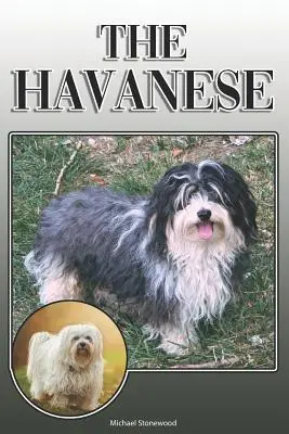 Hawańczyk: A Complete and Comprehensive Owners Guide To: Kupno, Posiadanie, Zdrowie, Pielęgnacja, Szkolenie, Posłuszeństwo, Zrozumienie i - The Havanese: A Complete and Comprehensive Owners Guide To: Buying, Owning, Health, Grooming, Training, Obedience, Understanding and