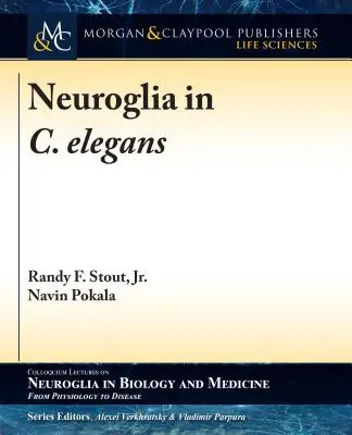 Neuroglej u C. elegans - Neuroglia in C. elegans