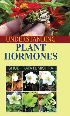 Zrozumienie hormonów roślinnych - Understanding Plant Hormones