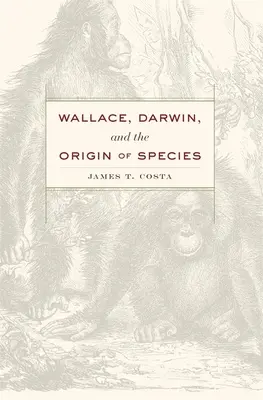 Wallace, Darwin i pochodzenie gatunków - Wallace, Darwin, and the Origin of Species