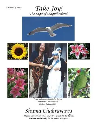 Take Joy! Saga o wyspie mew - Take Joy! the Saga of Seagull Island