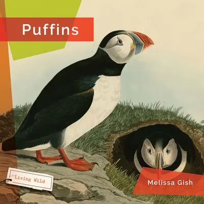 Maskonury - Puffins