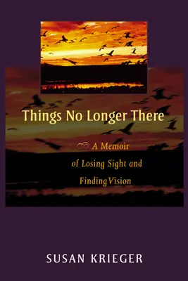 Rzeczy, których już nie ma: Wspomnienie utraty wzroku i odnalezienia wizji - Things No Longer There: A Memoir of Losing Sight and Finding Vision