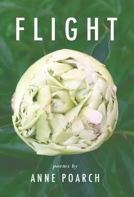 Lot: motyle, rudziki i inne skrzydlate marzenia - Flight: of butterflies and robins and other winged dreams