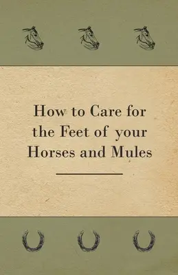 Jak dbać o nogi koni i mułów? - How to Care for the Feet of your Horses and Mules