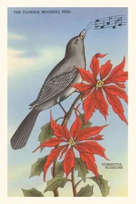 Vintage Journal Florida Mockingbird, gwiazdy betlejemskie - Vintage Journal Florida Mockingbird, Poinsettias