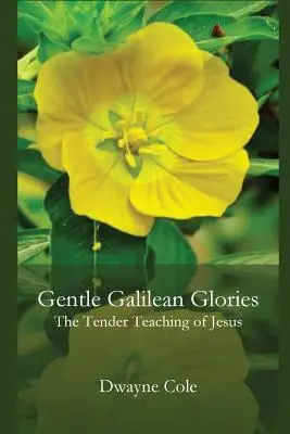 Łagodna chwała Galilei: Czułe nauki Jezusa - Gentle Galilean Glories: The Tender Teachings of Jesus