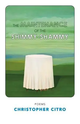 Konserwacja ShimmyShammy - The Maintenance of the ShimmyShammy