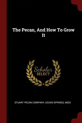 Pekan i jak go uprawiać - The Pecan, And How To Grow It