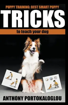 Psie sztuczki: Najlepsze inteligentne sztuczki, których nauczysz swojego psa w rekordowym czasie - Dog Tricks: Best Smart Dog Tricks to Teach Your Dog in Record Time