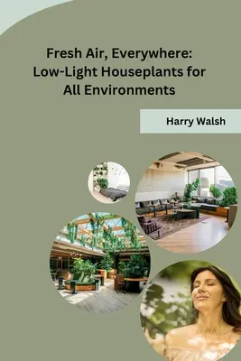 Świeże powietrze, wszędzie: Rośliny domowe o słabym oświetleniu dla wszystkich środowisk - Fresh Air, Everywhere: Low-Light Houseplants for All Environments