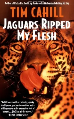 Jaguary rozszarpały moje ciało - Jaguars Ripped My Flesh