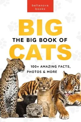 Wielka księga wielkich kotów: Ponad 100 niesamowitych faktów o lwach, tygrysach, lampartach, panterach śnieżnych i jaguarach - The Big Book of Big Cats: 100+ Amazing Facts About Lions, Tigers, Leopards, Snow Leopards & Jaguars