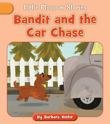 Bandyta i pościg samochodowy - Bandit and the Car Chase