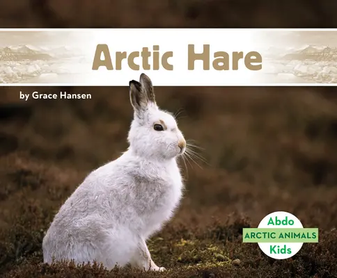 Zając arktyczny - Arctic Hare
