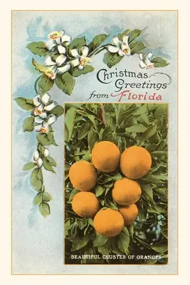 Dziennik świąteczny z pozdrowieniami z Florydy - Vintage Journal Christmas Greetings from Florida