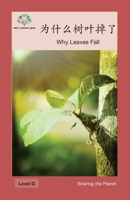 DLACZEGO LIŚCIE SPADAJĄ? Dlaczego liście opadają - 为什么树叶掉了: Why Leaves Fall