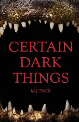 Pewne mroczne rzeczy: Historie - Certain Dark Things: Stories