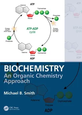 Biochemia: Podejście do chemii organicznej - Biochemistry: An Organic Chemistry Approach