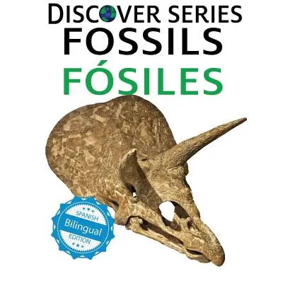 Skamieliny / Fosiles - Fossils / Fosiles