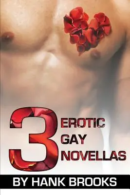 3 powieści erotyczne dla gejów - 3 Erotic Gay Novellas