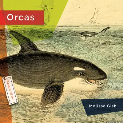 Orki - Orcas