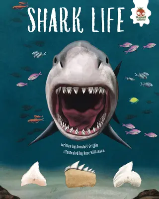 Życie rekinów - Shark Life